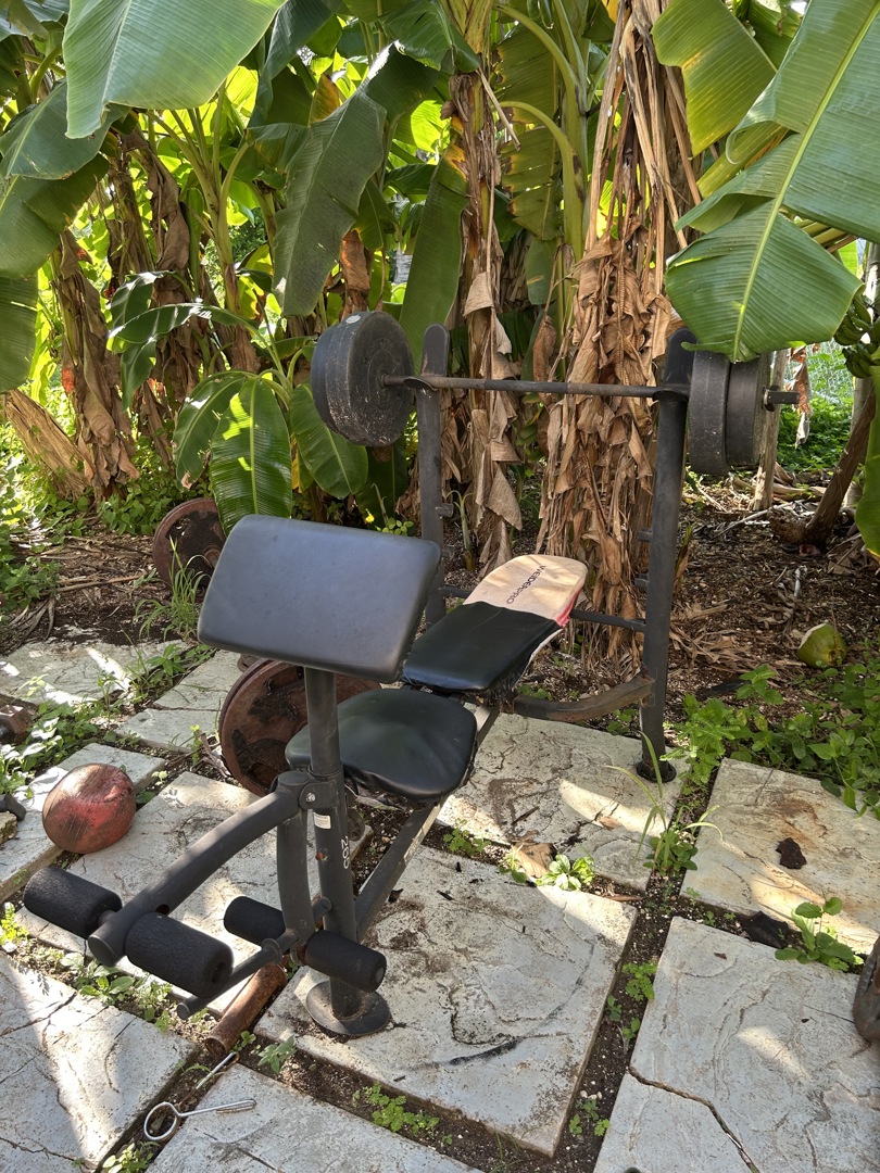 Outdoor Gym equipment for sale. Must go !! - ecay