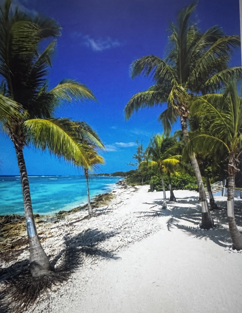 3 Days 225ci/ 7 Days 475ci. ALL INCLUSIVE. Available Monthly too ...
