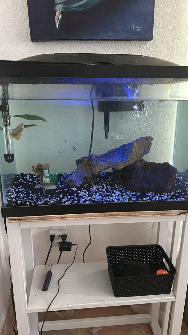 Sell fish tank on sale online