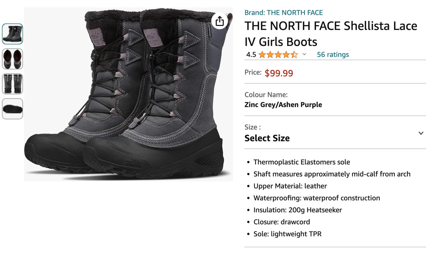 North face 2024 childrens boots sale