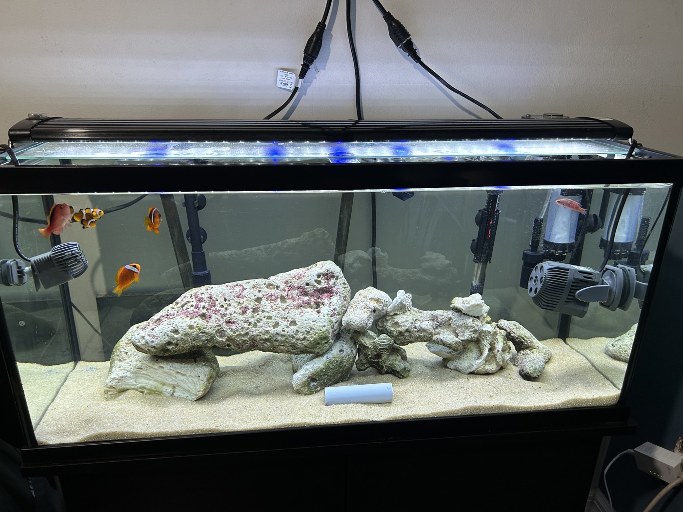 30 gallon best sale breeder tank