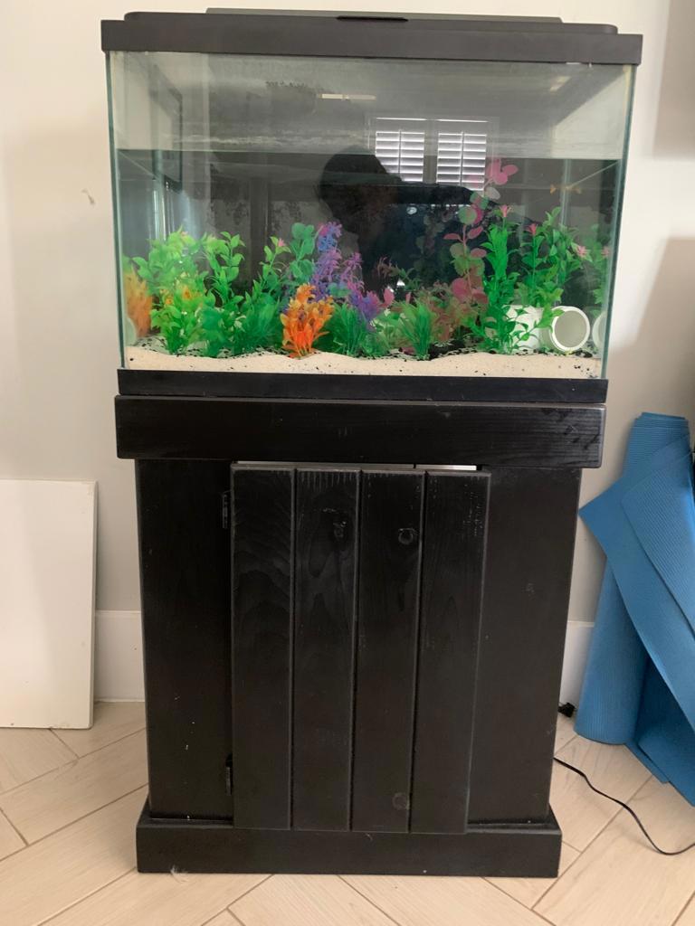 Sell fish shop tank online